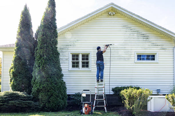 Best Roof Washing  in Talluh, LA